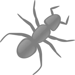 הדברת נמלים